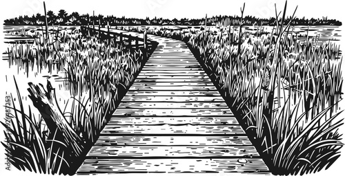 Wooden boardwalk pathway through marshland with tall grass and distant trees in black and white