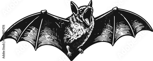 Flying bat with outstretched wings roaring, nocturnal animal illustration in black and white