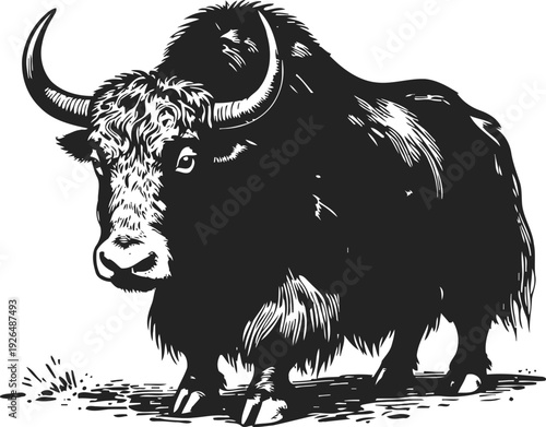 Black yak illustration strong wild animal with horns powerful mammal silhouette on white background