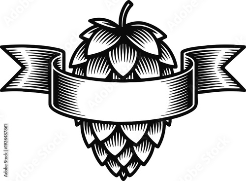 Vintage hop cone with blank ribbon banner for craft beer brewing or brewery logo design