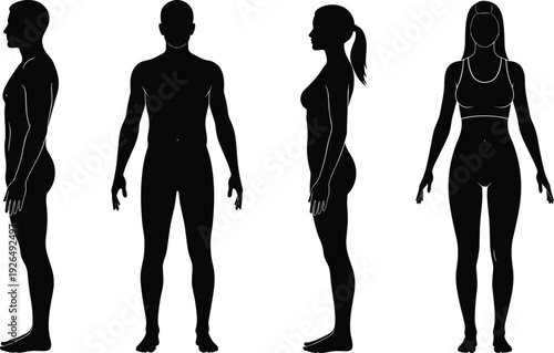 Male and female body silhouettes front and side views showing human anatomy proportions isolated on white background for design reference use