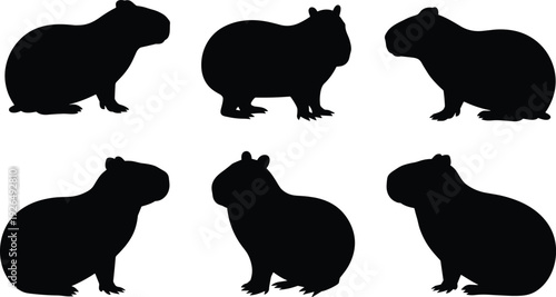 Set of black capybara silhouettes in various sitting and standing poses isolated on white background for South American wildlife design.