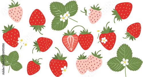 Fresh and Juicy Strawberries with Flowers and Leaves for Fruit, Food, and Nature Designs