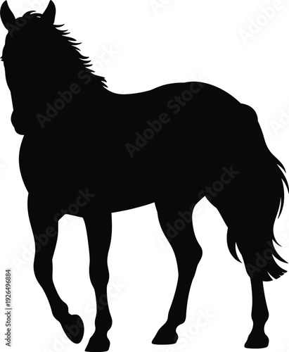 Black horse silhouette walking isolated on white background standing stallion profile for equestrian sports logo horse riding club farm animal and wild mustang vector