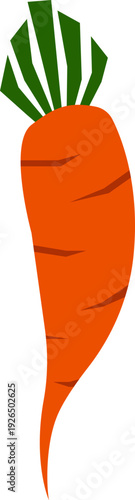 vector illustration of a carrot