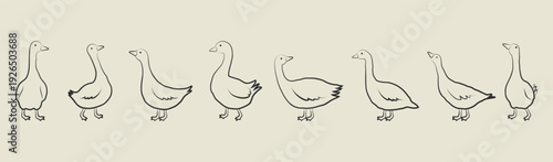 Set of hand drawn outline sketch geese in various poses