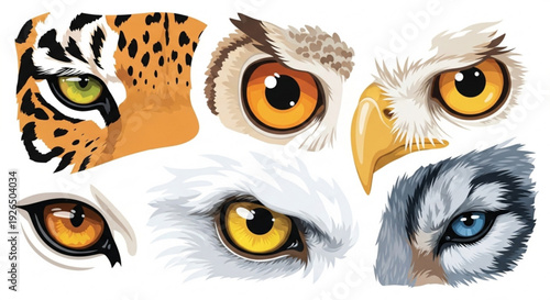 Collection of detailed animal eyes featuring leopard owl and eagle faces with varying colors and textures on white background