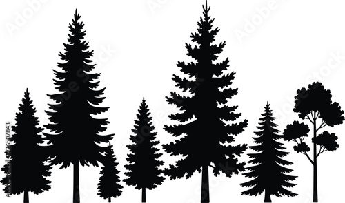 Black silhouette forest of pine and deciduous trees