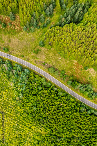 Aerial top-down view of a road through a green forest