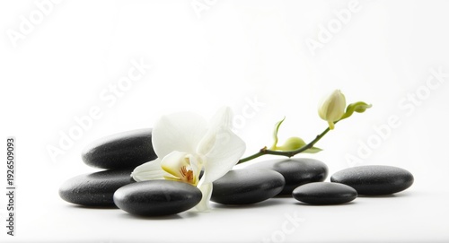 Relaxing spa setup featuring black massage stones and white orchid on a clean white background