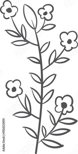 Blooming plant drawing. Hand drawn botany flowers