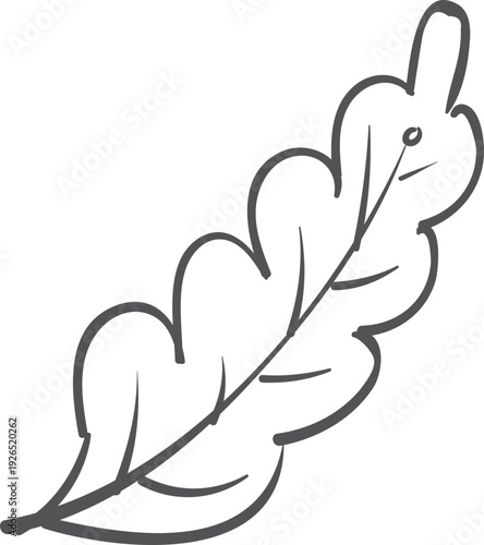 Leaf drawing. Nature element. Decorative botany icon