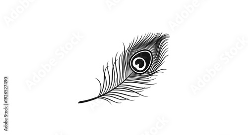 A detailed illustration of a single peacock feather viewed from the side showcasing intricate details and textures in a minimalist style