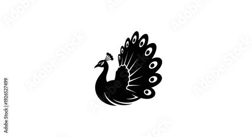A majestic peacock spreads its tail feathers in a simple black illustration