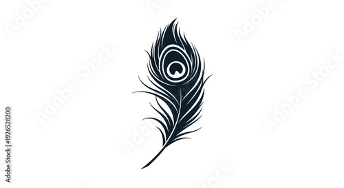 A close-up of a stylized peacock feather illustration, showcasing intricate details and flowing lines.