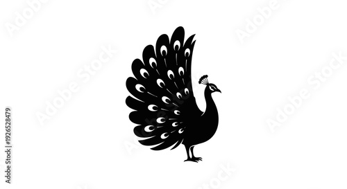 Elegant black peacock silhouette with outstretched tail feathers standing proudly in a minimalist illustration style from a side viewpoint