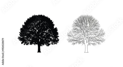 Two tree silhouettes one solid black the other detailed and lighter