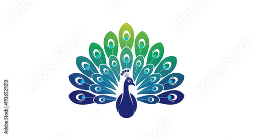 Majestic peacock spreads vibrant blue and green feathers in a stunning display of nature's beauty from a front viewpoint