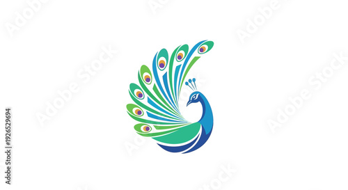 Vibrant peacock illustration showcasing majestic plumage, artistic design, and symbolic beauty from a front viewpoint