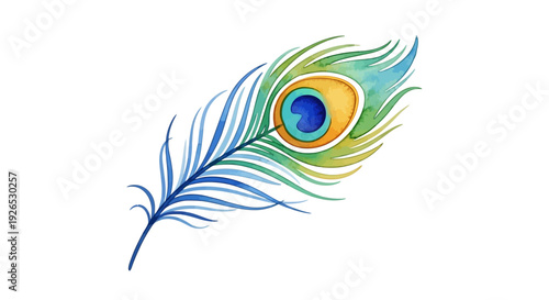 Vibrant peacock feather illustration showcasing intricate details and colors from a close-up viewpoint