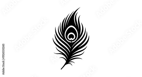 Elegant black peacock feather illustration on a clean white background viewed from the side