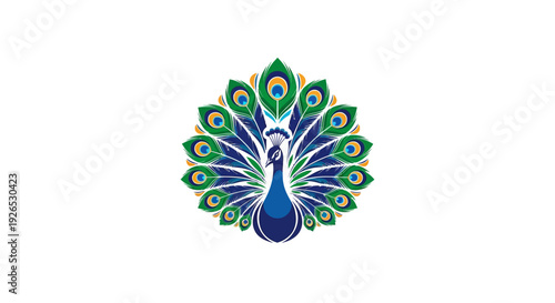 Vibrant peacock illustration showcasing majestic plumage and feathers in a graphic design