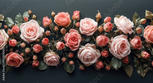 Endless floral design depicting blooming roses and sprouting buds