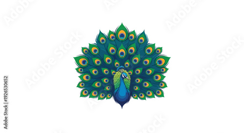 Vibrant peacock spreads its majestic tail feathers in a stunning display of colorful beauty and elegance from a front viewpoint