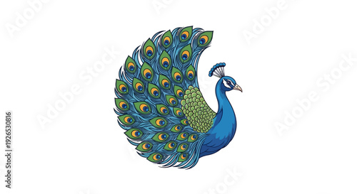 A vibrant peacock displaying its colorful plumage in a majestic pose, viewed from the side