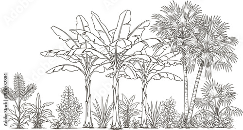 Tropical jungle landscape with banana trees and palm trees, detailed line art illustration