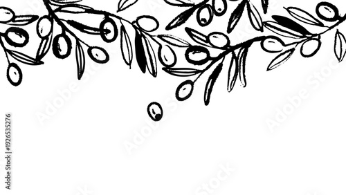 Vintage sketch olive branches border banner. Extra virgin, farm product, Mediterranean cuisine, cosmetic, organic farm, packaging label. Crayon hand drawn vector illustration.