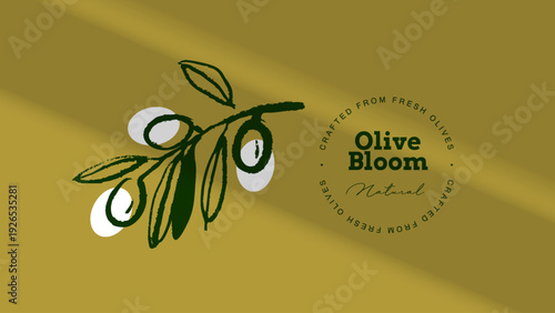 Vintage sketch olive branch banner. Extra virgin, farm product, Mediterranean cuisine, cosmetic, organic farm, packaging label. Engraved hand drawn vector illustration.