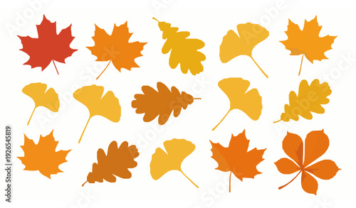Isolated colorful autumn leaves vector set with maple, oak, ginkgo, and chestnut leaves