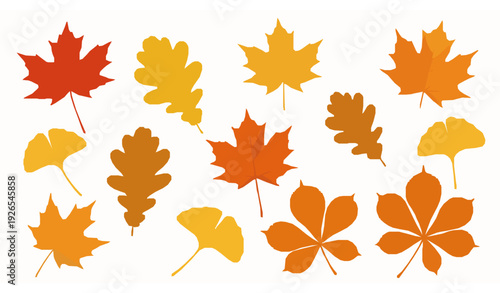 Isolated colorful autumn leaves vector set with maple, oak, ginkgo, and chestnut leaves
