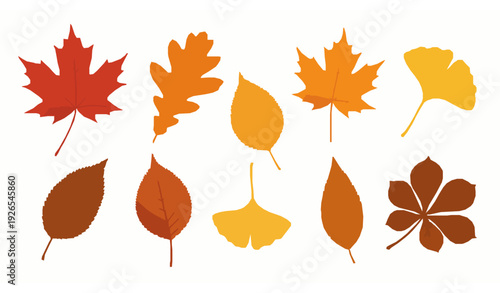 Vibrant isolated autumn leaves vector set with detailed seasonal foliage illustrations