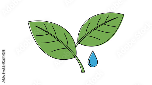 Two vibrant green leaves on a stem with a single blue water drop falling nearby representing nature and environmental care.