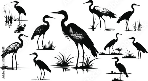 Set of black heron and crane bird silhouettes in various poses standing in water with marsh grass for nature conservation vector illustration