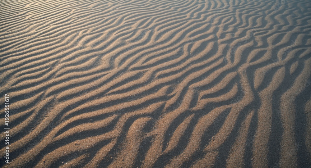 Fototapeta premium Natural sand ripple texture on beach surface with copy space