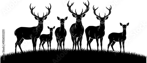 Deer silhouette family, stag and doe vector, wildlife animal illustration, forest nature black silhouette collection design