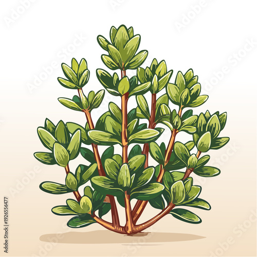 A vibrant green bush with thick stems and lush leaves, depicted in a digital illustration from a front viewpoint.