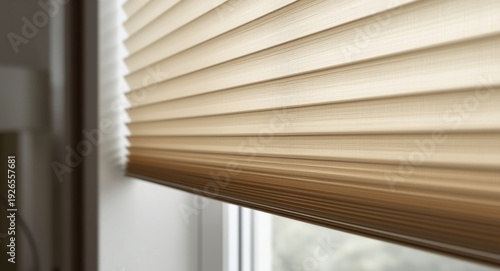 Modern privacy blinds in beige with wide 50 millimeter pleated folds for home windows