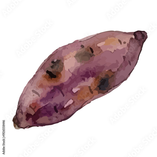 Watercolor Roasted Sweet Potato／焼き芋・さつまいも