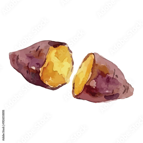 Watercolor Roasted Sweet Potato／焼き芋・さつまいも