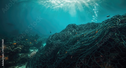 Prohibited fishing nets and their role in reef ecosystem depletion