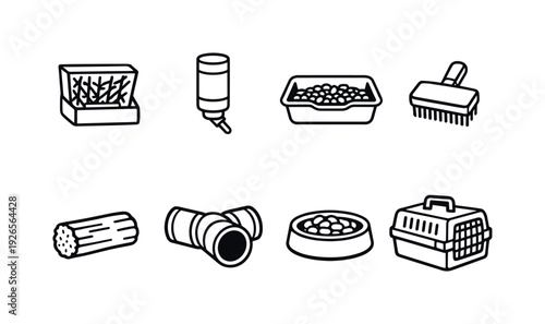 Home rabbit care items: hay feeder, water bottle, litter tray, grooming brush, chew block, tunnel toy, food bowl, carrier box