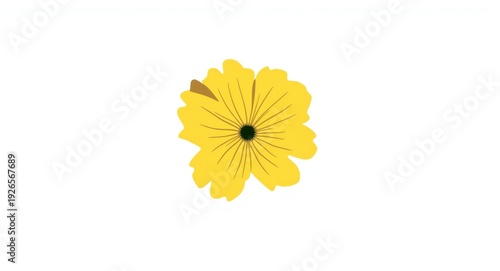 Wallpaper Mural Stylized 2D cartoon buttercup flower graphic with crisp white background Torontodigital.ca
