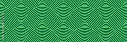 Vineyard pattern with smooth green lines of grape field, seamless green waves, organic farm landscape, vector image for rustic packaging, decor and branding