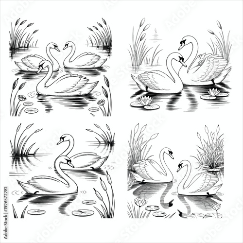 Set of 4 Romantic Swan Vector Illustrations: Elegant Black and White Silhouette and Outline Sketches of Graceful Swans Swimming in a Lily Pond