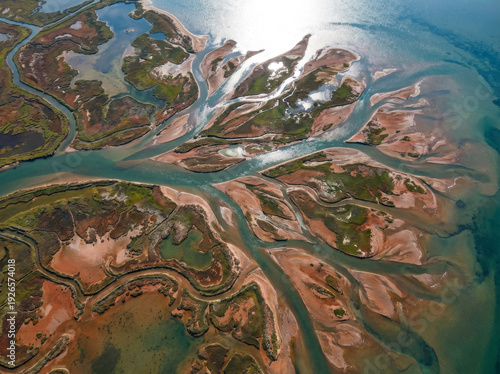 Aerial view of a river delta with intricate waterways and diverse landscapes.