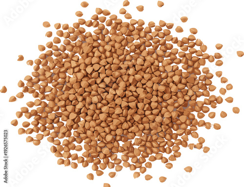 Pile of buckwheat grains isolated on white background, gluten‑free pseudocereal food ingredient, healthy diet nutrition vector illustration artwork